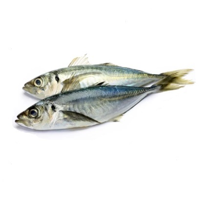 Poisson: Maquereau - Photo 1