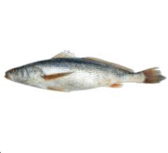 Poisson: Bar - Photo 1